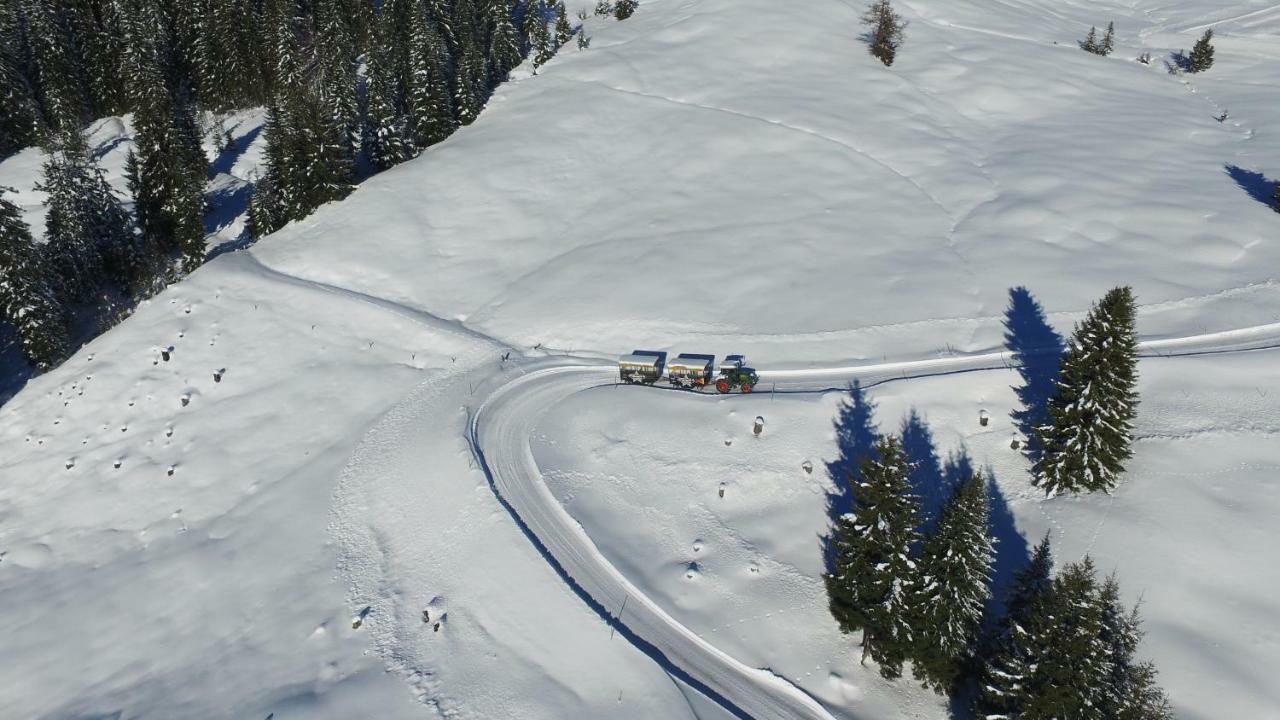 In / Out - Saalbach